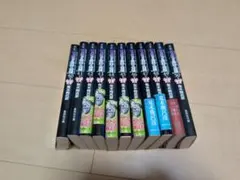 ジョジョの奇妙な冒険 Part6 ストーンオーシャン　文庫本版　全11巻