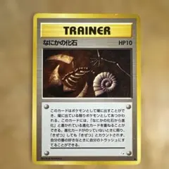 2026年最新】なにかの化石の人気アイテム - メルカリ