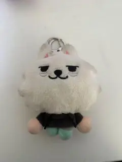 txt スビン ヨンモン 初期 キーリング プルバトゥ