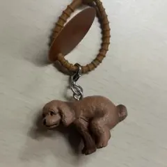 ふんばりーぬ トイプードル