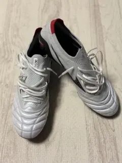 モレリアネオIV β SG MIX