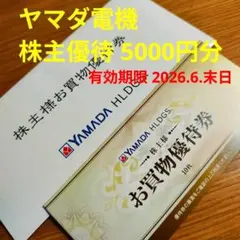 ヤマダホールディングス 株主優待買物券 500円×10枚