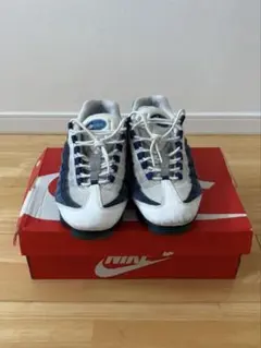 Nike ヴェイパーマックス95 ブルー