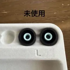 【未使用】SONY WF-1000XM5 付属品　イヤーピース Lサイズ　ソニー
