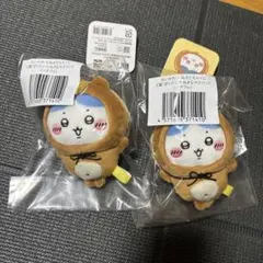 たぬきだもんくじ　ハチワレ