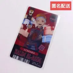 Rakutao01様専用　ビジュボ13枚　チケ風しおり10枚　ナツコミしおり5枚 2025年最新チケット風しおりの人気アイテム - メルカリ