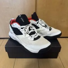 Jordan スニーカー ホワイト/ブラック/レッド