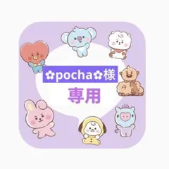 【✿pocha✿様 専用】