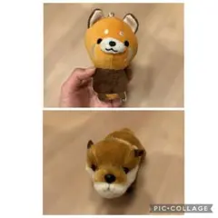 アライグマ カワウソぬいぐるみキーホルダー