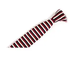 Item thumbnail for item cacdaf93-3125-4e81-bb02-9368be9751d0