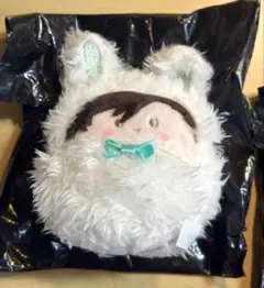 2025年最新】スタンドマイヒーローズ くるみたぴぬいの人気