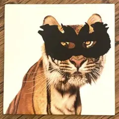 The Chap – I Am Oozing Emotion 7” レコード