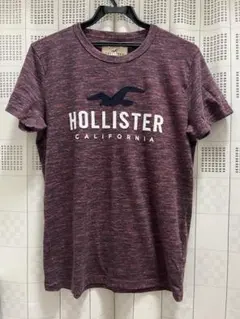 半袖　Tシャツ　ホリスター　Holister バーガンディー　Sサイズ　赤　茶色