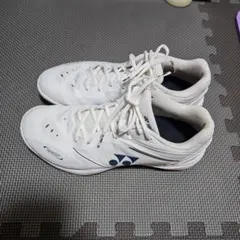 Item thumbnail for item 985f37e4-6aaa-466f-ab5c-a8b03886364f