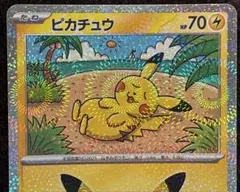 【ど真ん中ホロ位置】ピカチュウなんごくきぶん
