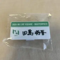 INI 田島将吾　カプセルトイ　ネームプレート