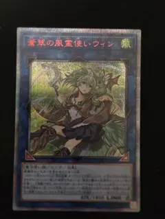 2026年最新】蒼翠の風霊使いウィンの人気アイテム - メルカリ