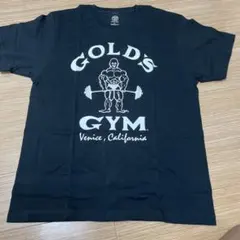 Item thumbnail for item a5dd0de8-707a-4f14-b5d4-ca65182cd273