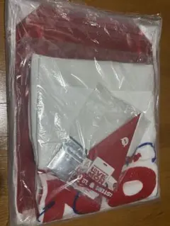 BABYMONSTER（ベイビーモンスター） 2025ファンコン　ss席特典＋α