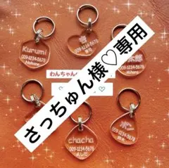 Item thumbnail for item e3cdfd88-b6be-41cd-b746-d9bcfc575f95