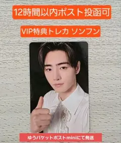 ソンフン 前期VIPトレカ House of vampire