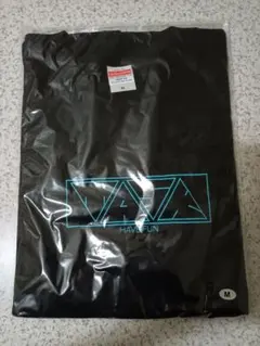 新品 TaskhaveFun Tシャツ ブラック Mサイズ