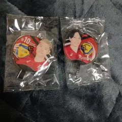 バレーボール 日本代表 うちわアクリルチャーム