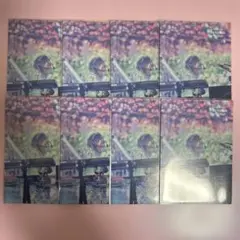 ミセス 藤澤涼架 フォトカ ホワンジ 12 8枚セット