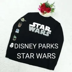 【入手困難】ディズニーパークス スターウォーズ ロンT Hanes製 黒