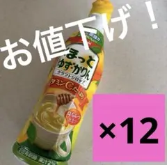 アサヒ飲料 クラフトシロップ ほっとゆず・かりん希釈用12 カルピス原液bのサムネイル