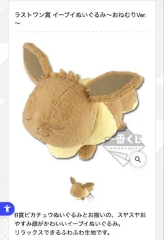 ポケモンセンター ラストワン賞 ピカチュウ イーブイ Amazon.co.jp: ポケモン わくわくゲットくじ 2013 ラストワン賞
