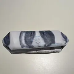 Item thumbnail for item 77ba2875-eb6d-4537-899e-18f9bced9063