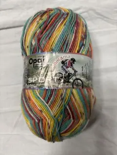 Opal Panorama スポーツ ヨガ　9135