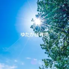 tsuru様専用✨特典付電磁波防止✨本物CMCペンダントUSA版2本値引