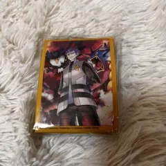 ポケモンカードゲーム アカギ スリーブ 65枚入り
