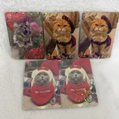猫カフェmocha 羽生店 にゃんずトレカ わくわく夏祭り | Mercari