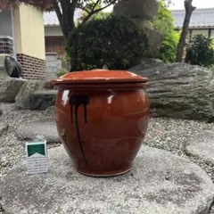 期間限定】ピータン甕② かめ 壺 陶器 龍 めだか鉢 火鉢 傘立て - メルカリ
