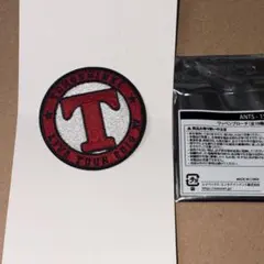 東方神起 LIVE TOUR 2019 ワッペンブローチ ステッカー T