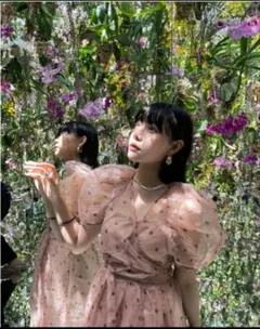 ブラックフライデー　オーガンジーパフスリーブワンピース