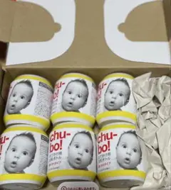 チューボ　おでかけ用ほ乳ボトル