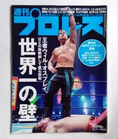 Item thumbnail for item fc253146-01d9-43ec-ad07-d173b50b0314