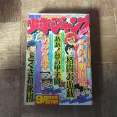 週刊 少年ジャンプ 1977年 1月3日 小池桂一 ウラシマ 初作品 手塚賞