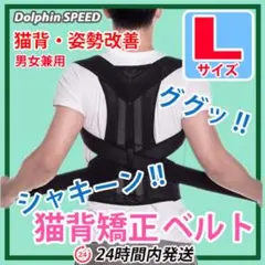 猫背矯正ベルト【 Ｌサイズ 】ねこ背改善　面接対策　姿勢改善　良姿勢の維持