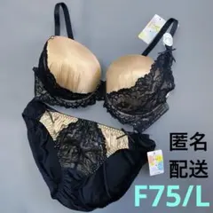 ブラショーツセット　F75 13のサムネイル