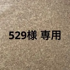 529様　専用