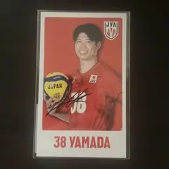 バレーボール男子日本代表ガチャ 第６弾 38山田大貴 ステッカー