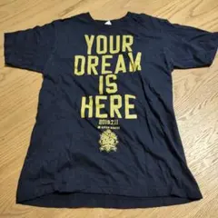 ヤクルトスワローズ　ドリームゲームＴシャツ　サイズМ