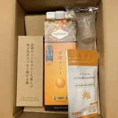 新品 豊潤サジー 1000ml×3本 らくさん菌とにゅうさん菌セット - メルカリ