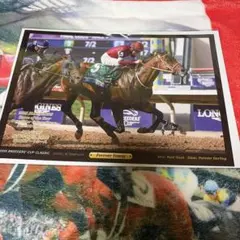 ライスシャワー まねき馬カード No.489 箔押しサイン　開封品 ライスシャワー まねき馬カード No.489 箔押しサイン 開封品 - メルカリ