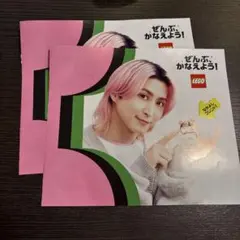 【訳あり】LEGOどうぶつなかよしノート2冊　佐久間大介SnowMan